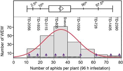 The Effectiveness of Physical and <mark class="highlighted">Chemical Defense</mark> Responses of Wild Emmer Wheat Against Aphids Depends on Leaf Position and Genotype